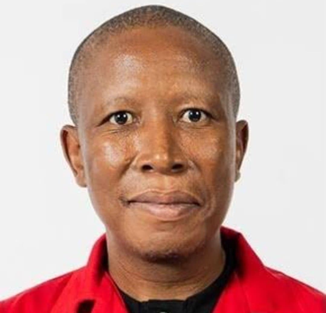 Malema Calls for Visa-Free Travel Between South Africa and Nigeria