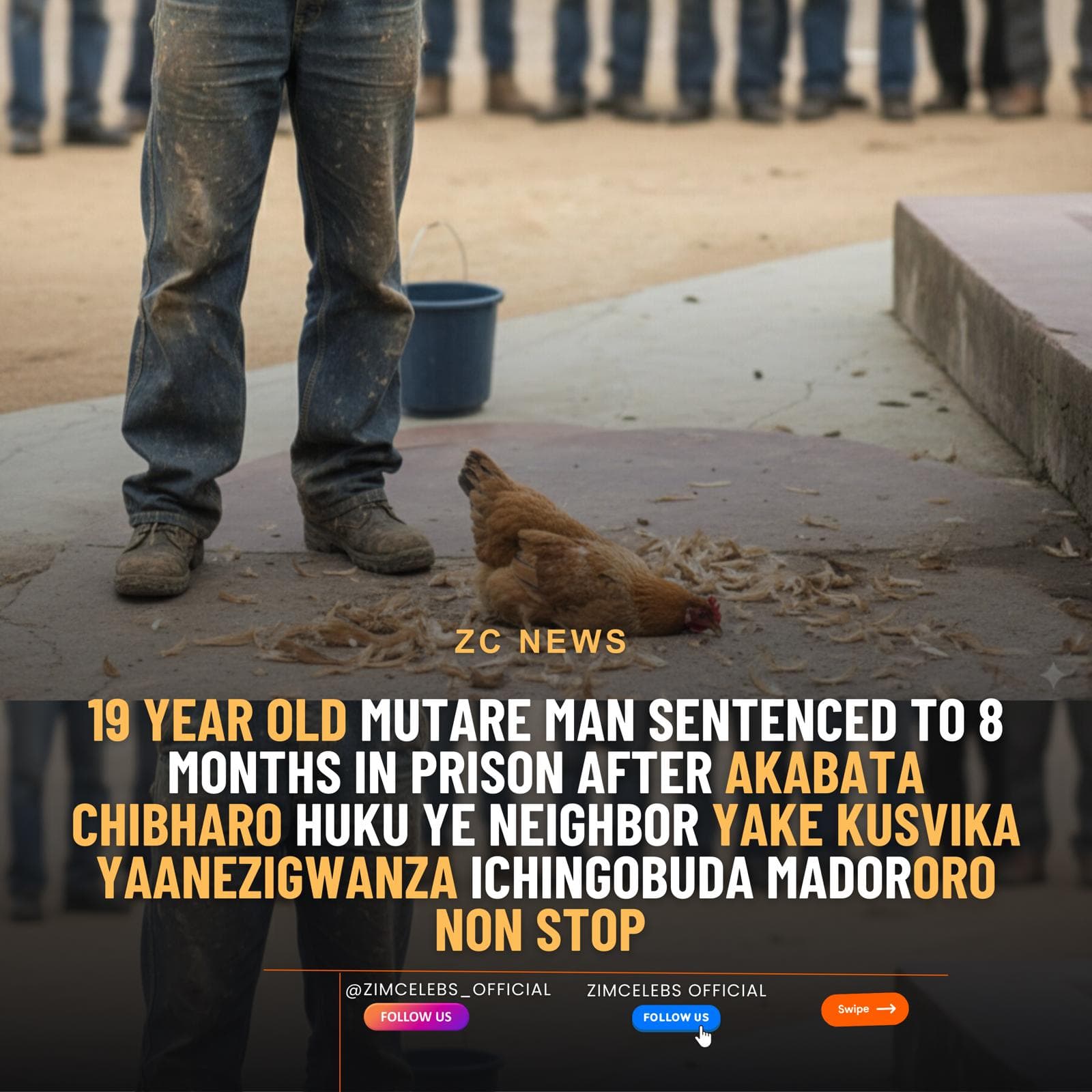 Mutare Man Convicted of Bestiality, Ordered to Perform Community Service